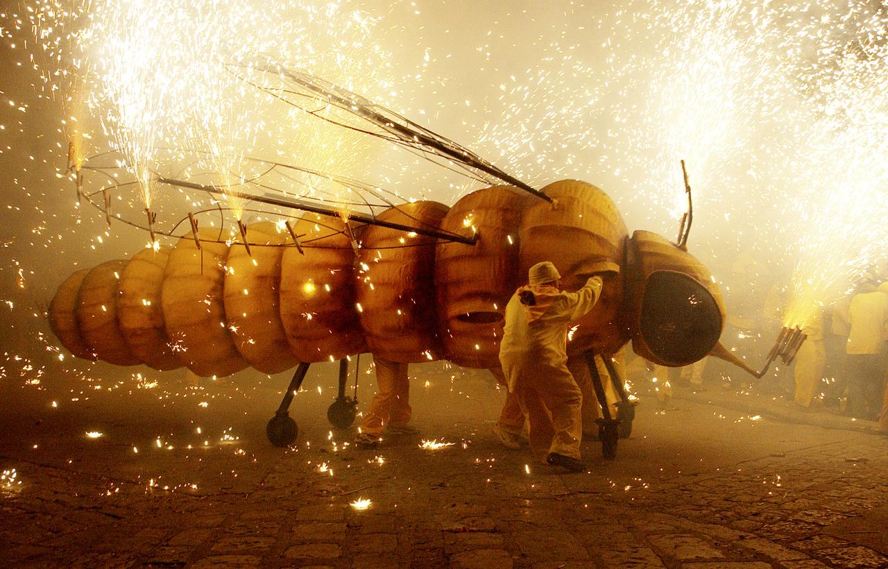 Festa de la Fil·loxera