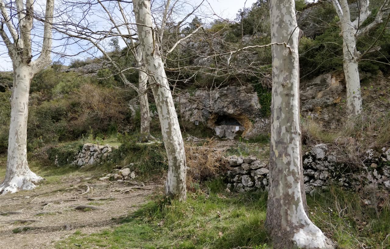 Font del Cuscó