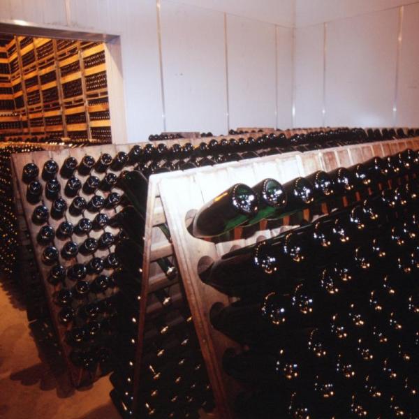 Cava celler del Vendrell