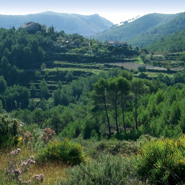 Parque Comarcal de Olèrdola