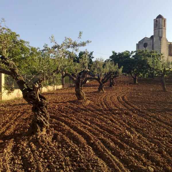 Sant Llorenç d'Hortons mill