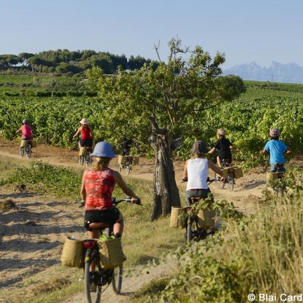 enoturismePENEDÈS ruta en burricleta. Fotografia Blai Carda