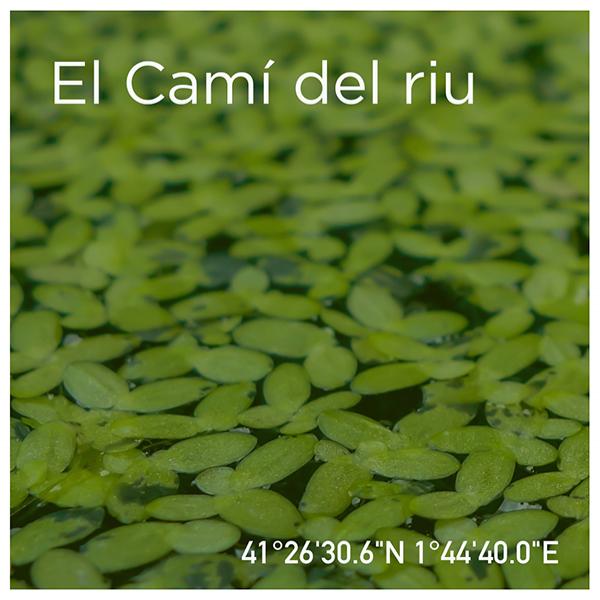 El Secret del Ton. El Camí del riu