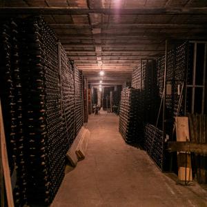 Cavasfera: visita un petit celler familiar de cava del Penedès