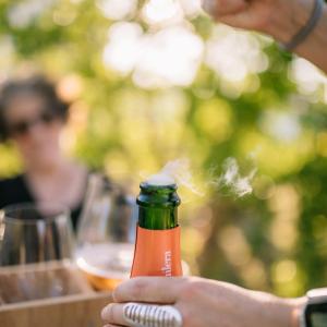 Tast cava i wine bar a les nostres terrassetes amb encant entre vinyes