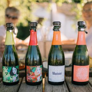 Gastrocava: tast cava i picnic gourmet entre vinyes