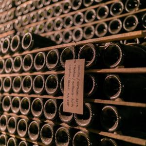 Cavasfera: visita un petit celler familiar de cava del Penedès