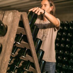 Cavasfera: visita un petit celler familiar de cava del Penedès