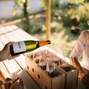 Cavasfera: visita petit celler familiar de cava del Penedès