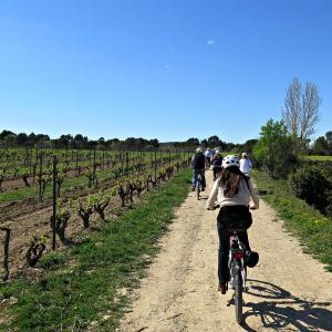 BIKE & TASTE - PEDALA ENTRE VINYES I DESCOBREIX ELS VINS DEL PENEDÈS 