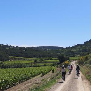 BIKE & TASTE - PEDALA ENTRE VINYES I DESCOBREIX ELS VINS DEL PENEDÈS 