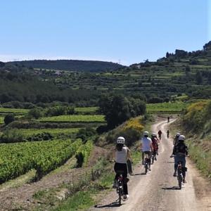 BIKE & TASTE - PEDALA ENTRE VINYES I DESCOBREIX ELS VINS DEL PENEDÈS 