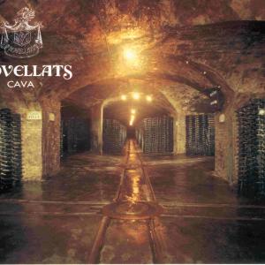 Rovellats Cava radiale