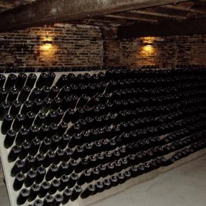 Visita a celler i tast de caves