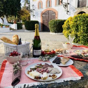 Breakfast in our modernist garden