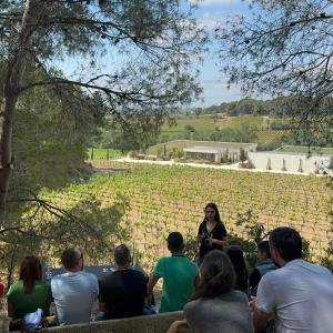 502. MILFULLES. Visita a les vinyes, Celler i maridatge gastronòmic amb vins i caves Pinord