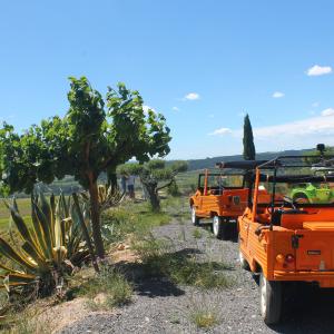 RUTA AMB MEHARI PER LA VINYA & TAST DE 3 PRODUCTES & VISITA LA CELLER