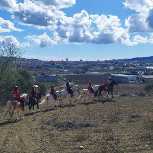 A cavall entre vinyes