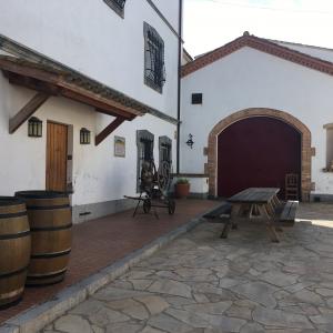 Ruta en bici i tast de vins al Penedès 