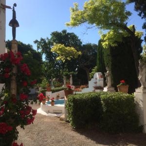 Modernist garden in spring in Cava Rovellats