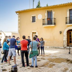 Penedès. Wine, Bike & Culture