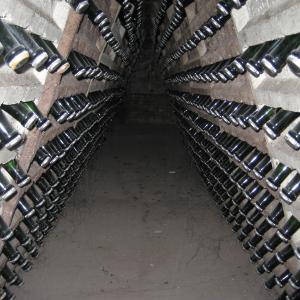 Visita a celler i tast de caves