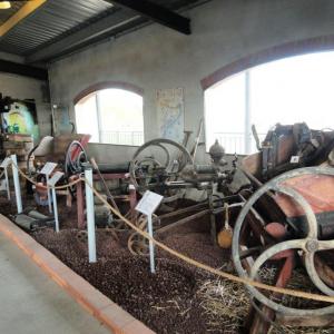 Calçotada al Penedès - Garraf