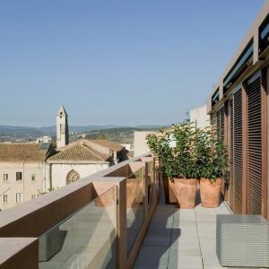 Penedès. Wine, Bike & Culture