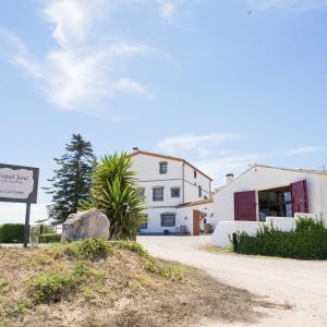 Ruta en bici i tast de vins al Penedès 