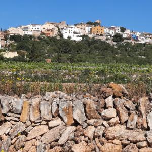 Vista general del poble