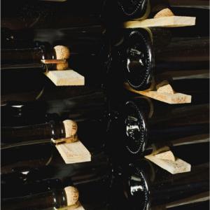 cava caves vins enoturisme visita sant sadurni anoia penedès tast cata