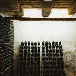 cava caves cavas celler bodega vins vinos enoturisme enoturismo visita sant sadurni anoia penedès degustació degustación tast cata