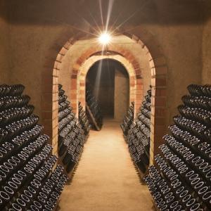 Conde de Valicourt cellar interior