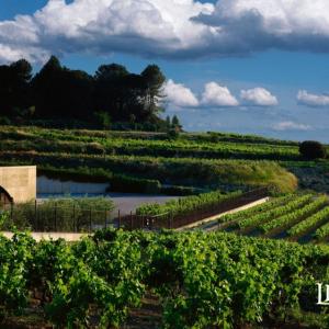 Llopart Cava aerial view