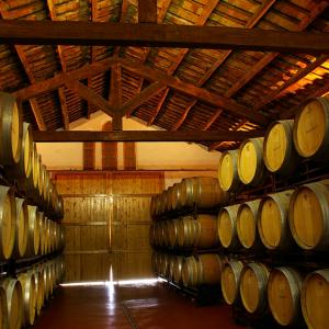 Parés Baltà barrel room