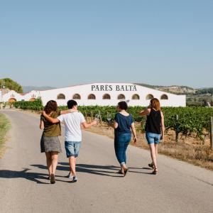 Visita pels voltants del celler