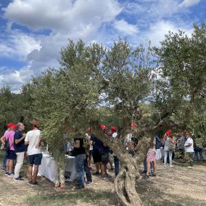 a la sala Llimiana tenim capacitat per a 120 persones en taules rodones i 60 amb Imperial