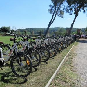 Bikemotions - Ruta guiada amb bicicleta + Tast de vins en un celler