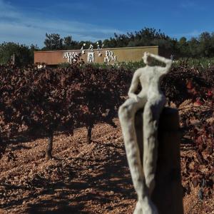 Visita enoturistica amb tast de vins i vinagres, reunió i dinar a l'Entrevinyes