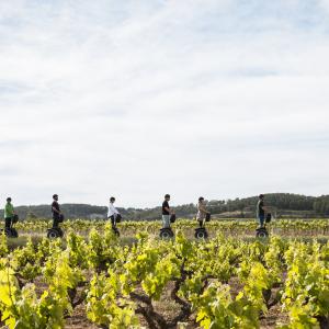 Ruta en segway entre vinyes i tast al celler