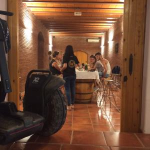 Ruta en segway entre vinyes i tast al celler