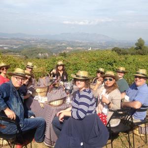 picnic vineyards