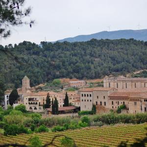 Monestir de Santes Creus