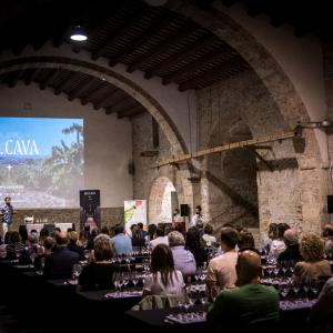 Celler de la Fassina de can Guineu - Cava Centre