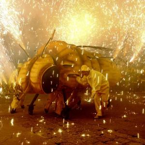 Sant Sadurní phylloxera festival