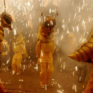 Sant Sadurní phylloxera festival