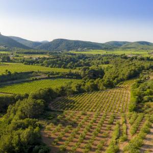 Castellví de la Marca