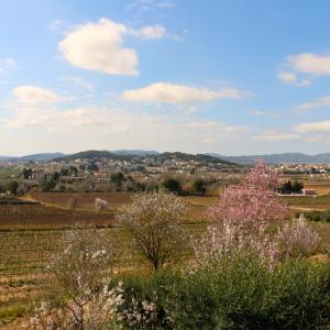 Primavera a Vilobí