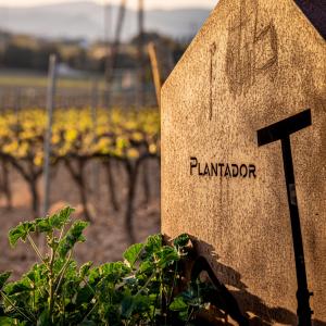 Vilafranca del Penedès Caixa Penedès Vijazz