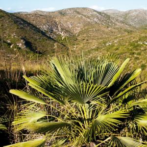 Parc del Garraf